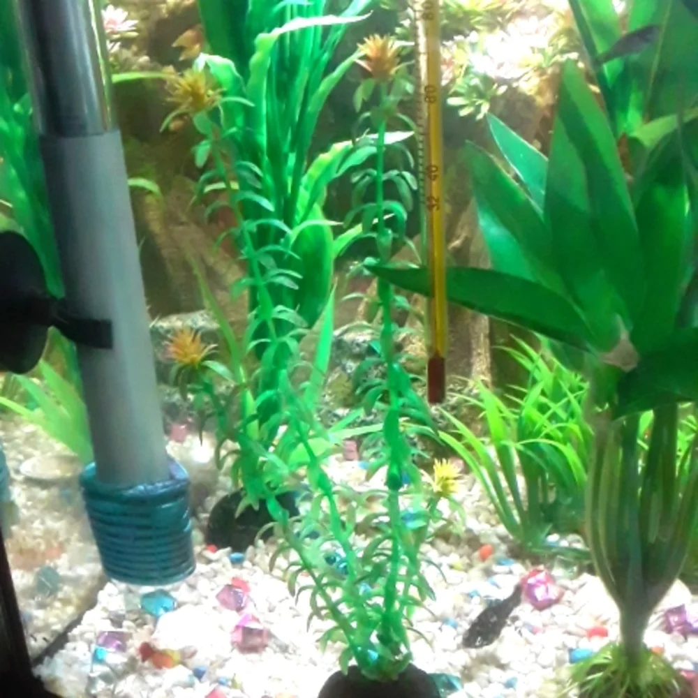 Aquarium Plant (about 16in)